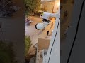 Video Image