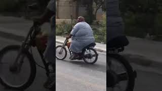 Ride it Porkchop 😂 #comedy #viralvideo #voiceover