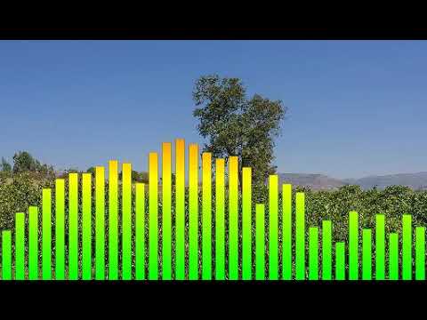 ባህላዊ ሙዚቃ ብሶቴን ማን አውቆ