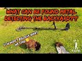 Metal Detecting The Backyard During Lockdown⛏ You Won't Believe What We Found With The Nox 800😁