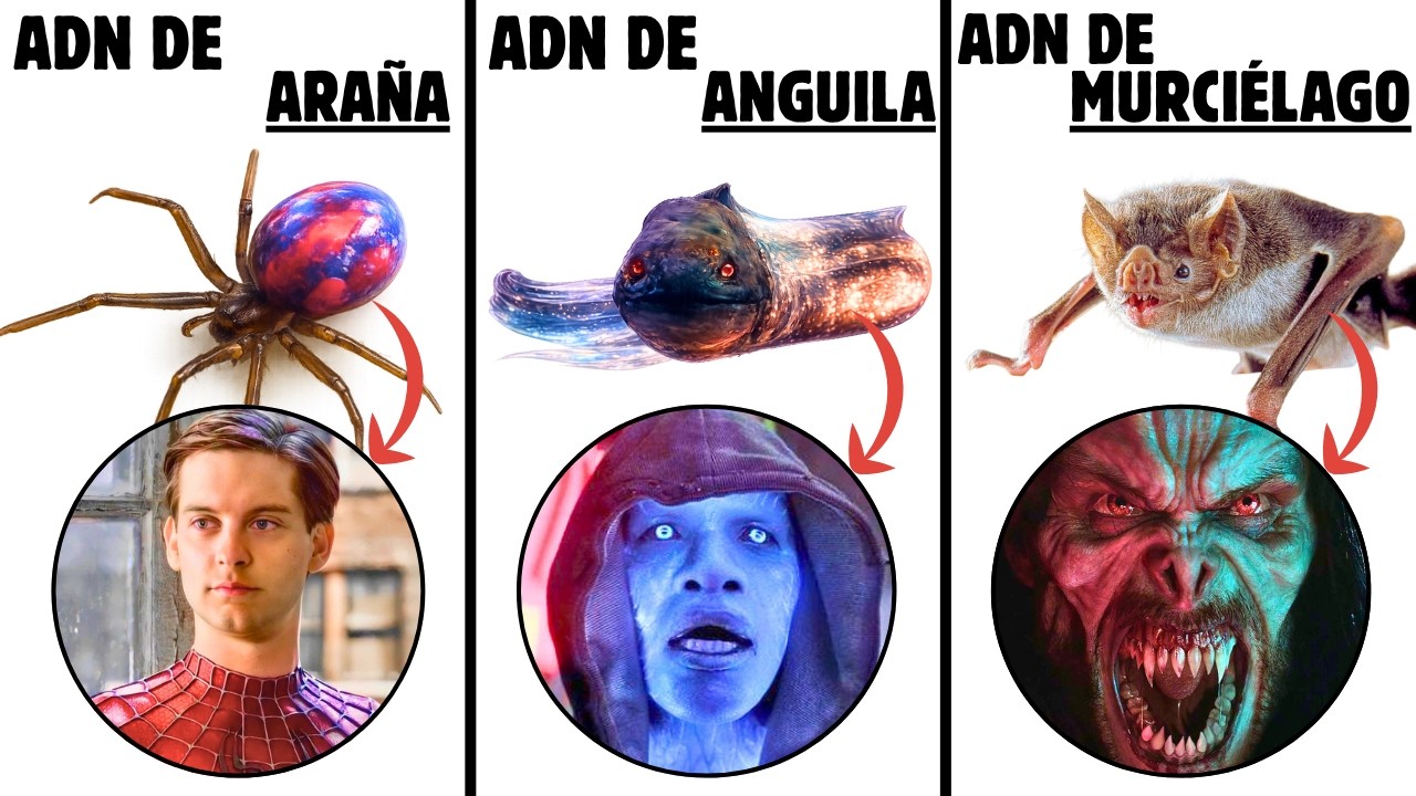 Todos Los Híbridos Animal-Humano de Marvel EXPLICADOS en Detalle