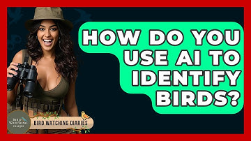 How Do You Use AI To Identify Birds? - Bird Watching Diaries