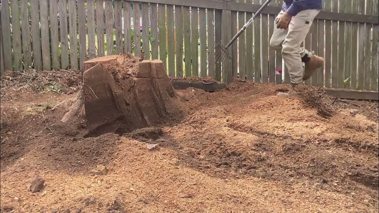 Stump Grinding Pro Tip 30, Clear the mulch. YouTube