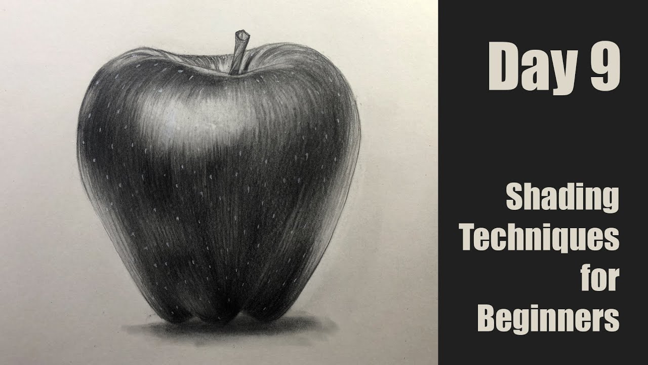 Pencil Drawing Of A Apple On An Opaque Surface Background, Drawing Picture  Apple, Apple, Drawing Background Image And Wallpaper for Free Download
