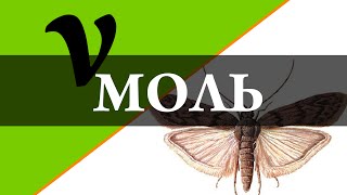 Моль.  Количество Вещества. Химия – Просто