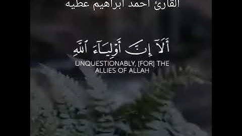 القارئ احمد ابراهيم محمد