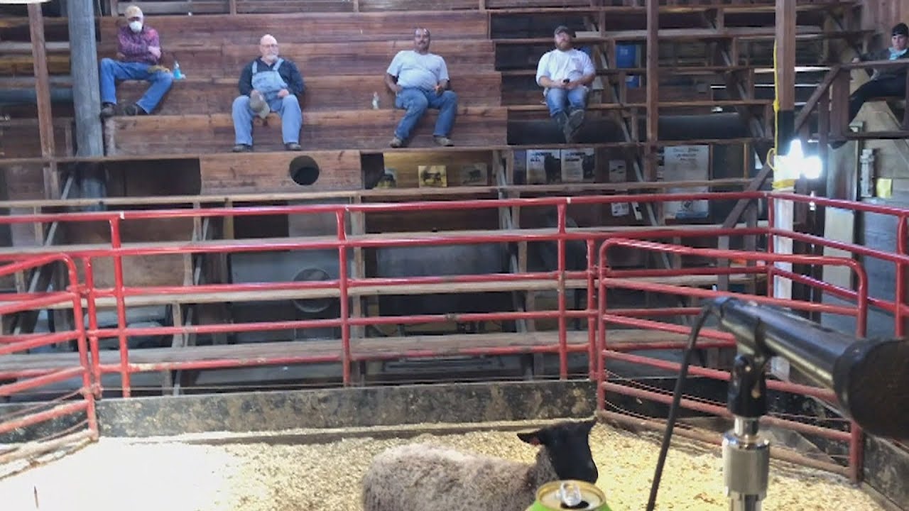 Market to Market From the Field Madison County Auction YouTube