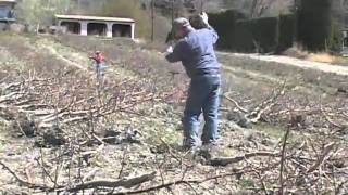 Best Practices for Agricultural Waste Disposal
