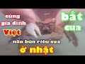 Cùng gia đình người Việt đi bắt cua ở Nhật về nấu bún riêu cực ngon!