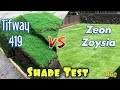 Bermuda Grass VS Zoysia Grass In Shade Test.