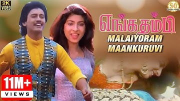 Enga Thambi Tamil Movie Songs | Malaiyoram Maankuruvi Video Song | Mano | Minmini | Ilaiyaraaja
