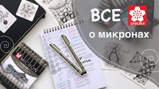 Все о линерах Pigma Micron от Sakura