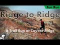 Ridge to ridge  an excerpt fog mud trail running joy