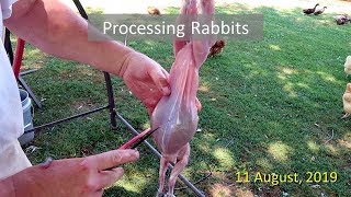 Rabbit Processing