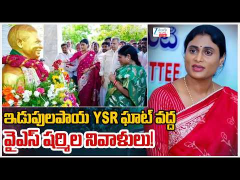 LIVE: YS Sharmila Pays Tributes To YSR | ఇడుపులపాయ YSR ఘాట్ వద్ద వైఎస్ షర్మిల నివాళులు! | ZEE News - ZEE24TELUGUNEWS