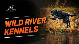 Wild River Kennels: New England Dog Training by Alpha Dog Nutrition 605 views 9 months ago 10 minutes, 38 seconds