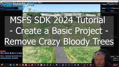Microsoft Flight Simulator -  SDK 2024 Tutorial - Create a Basic Project - Remove these Crazy Trees