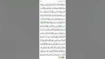سورة القلم تلاوة عذبة 
