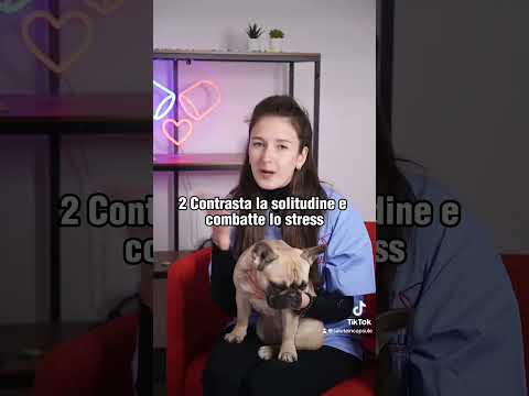 BeneficiCane2