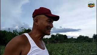 Pangarap na 50 bandel sa talong ni Tay Ramon, 84 bandel pa pala! | EL KABUKID