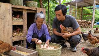 The Chickens Grandma Bought With Her First Earnings Gave Her an Unexpected Surprise screenshot 5