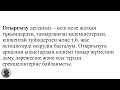 2 тақырыпқа презентация pptx