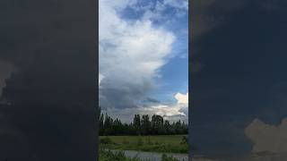 Şimdi Hayat - Endört Şfet Ört Şk