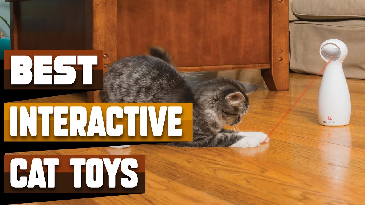 Best Interactive Cat Toy In 2024 Top 10 Interactive Cat Toys Review