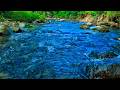 Can't Sleep Tonight? Let This Soft Water Stream Block Out the Noise for Deep Relaxation Everyday Use