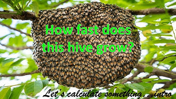 Using algebra to study exponential hive growth
