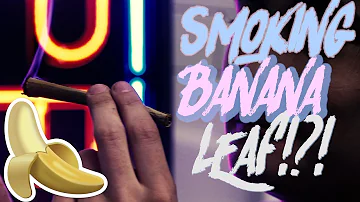 Can you use banana leaves in a smoker?