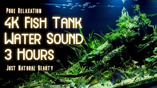 4K Relaxing Fish Tank - 3 HOURS with Water Sound