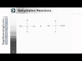 Unlocking the Secrets of Biological Macromolecules