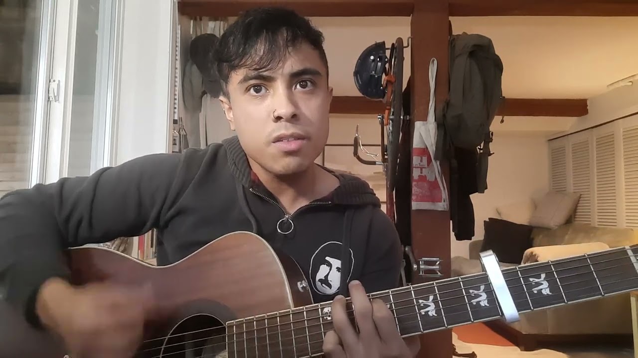 The Wallflowers - One Headlight (Cover)