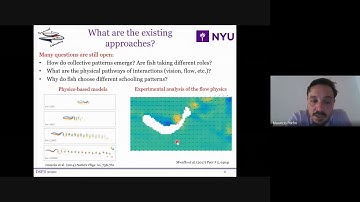 Plenary talk - Maurizio Porfiri - Inference of causal relationships from raw time-series in ...