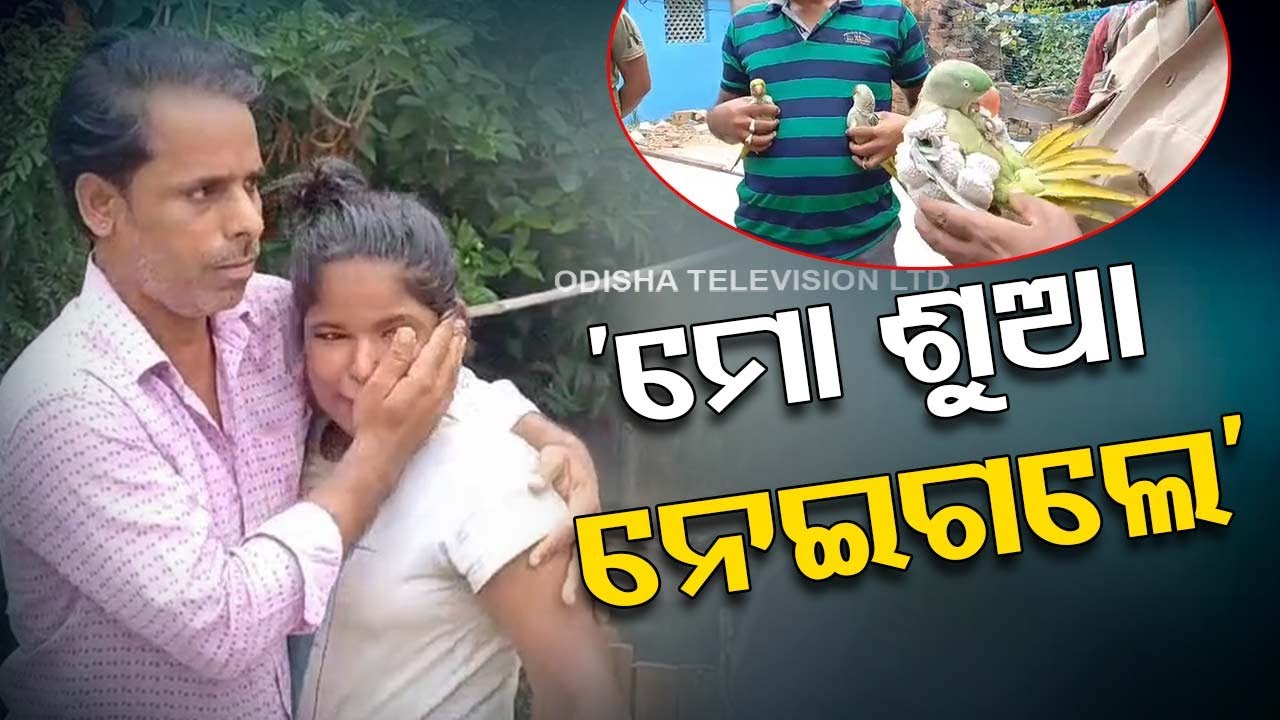 Forest department seizes parrots from a house in Salepur