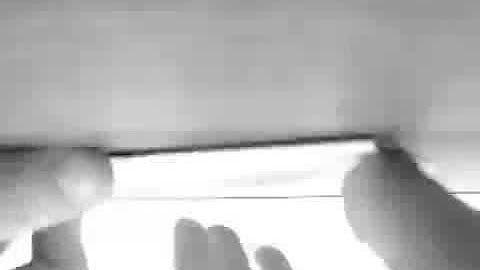 ArtFreakSummer#1 Loop