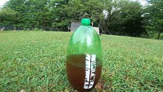 Is kombucha EXPLOSIVE