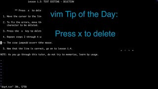 Press x to delete the character under the cursor: vim tutorial Tip of the Day 4 Profile