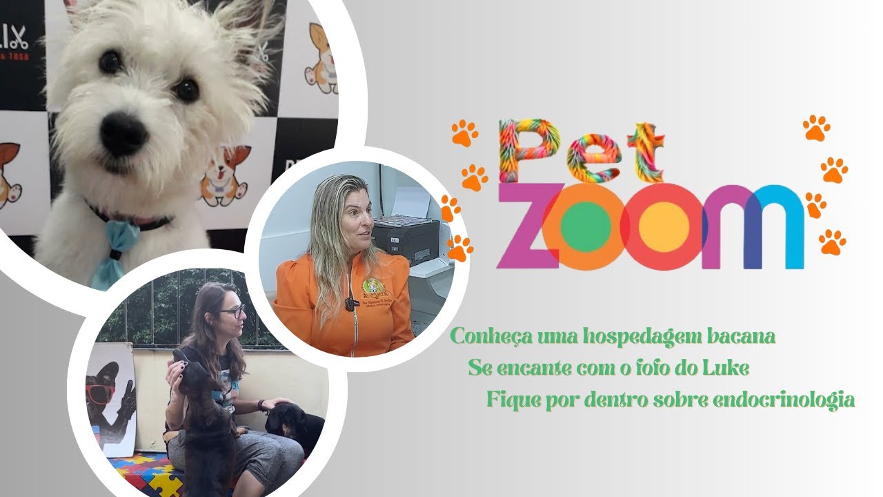 Conheça uma hospedagem bacana. Se encante com o fofo do Luke. Fique por dentro sobre endocrinologia