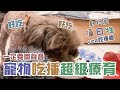 寵物吃播超級療育 | 動物園值日牲 | 第二季 | #22 吃播週 | 貓樂 佑佑