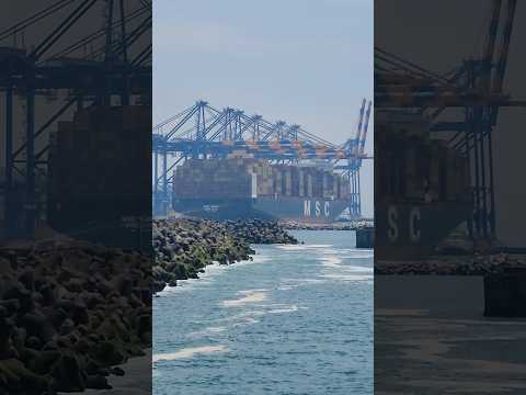 MSC Anna At Vizhinjam International Port Msc Ship Trivandrum