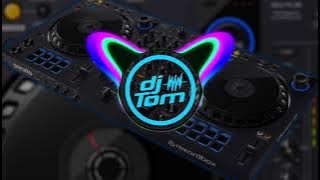 Bon Jovi -  It's My Life  (REMIX DJ TOM)