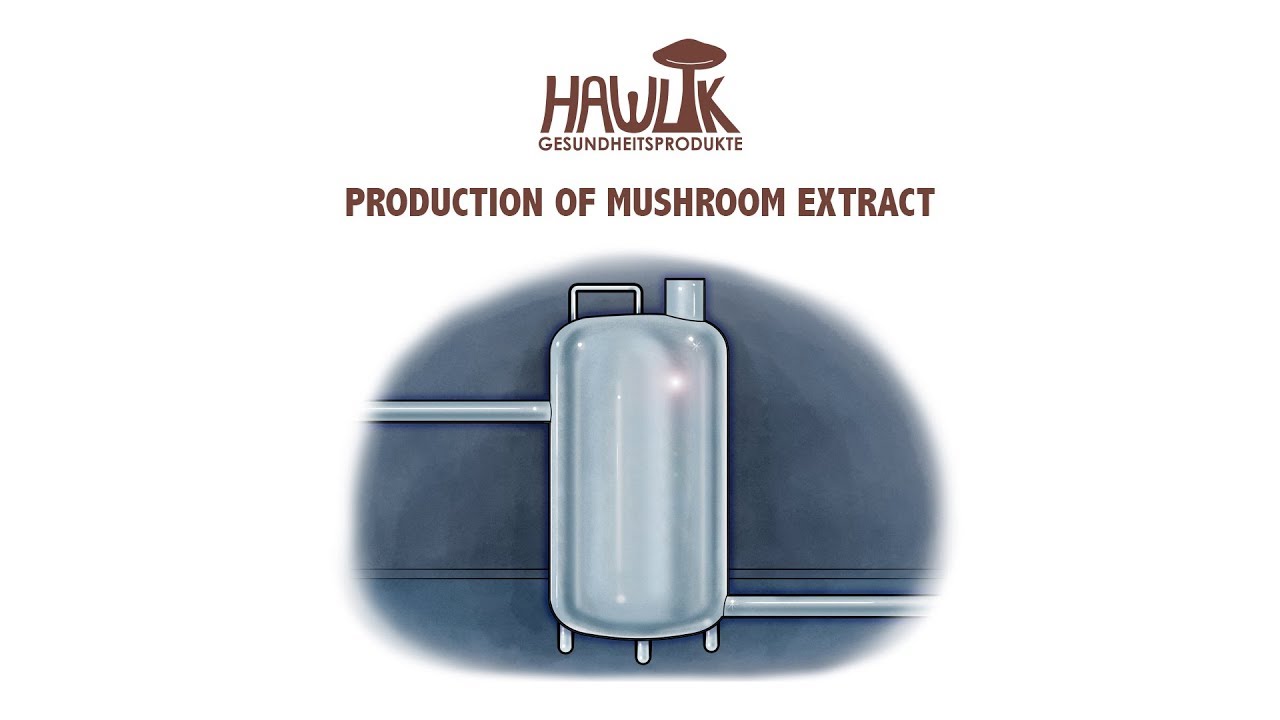MushroomVideo 003 Production of Extract