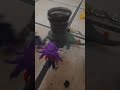en camión con la persona se lo llevó en. tonado explosión #birds #funny