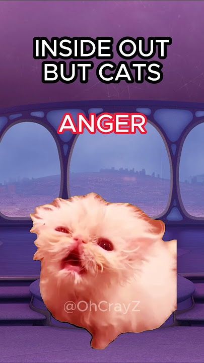 CAT MEMES 🐱 INSIDE OUT BUT CATS #cat #catlover #catvideos #insideout #shorts