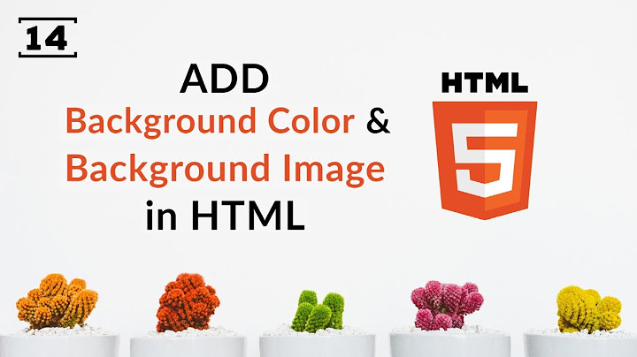 Apa tag html yang tepat untuk menambahkan warna background?
