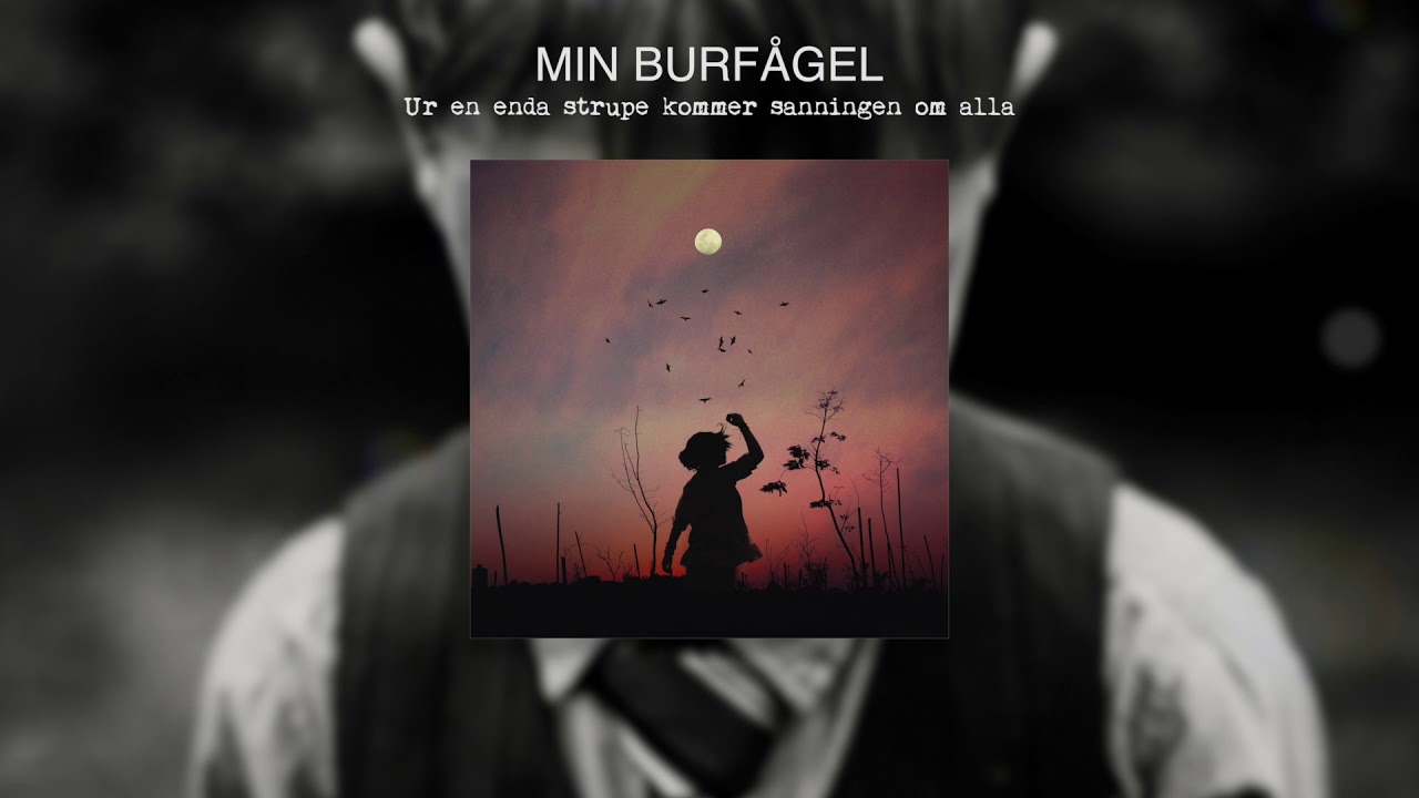 Fronda - Min burfågel