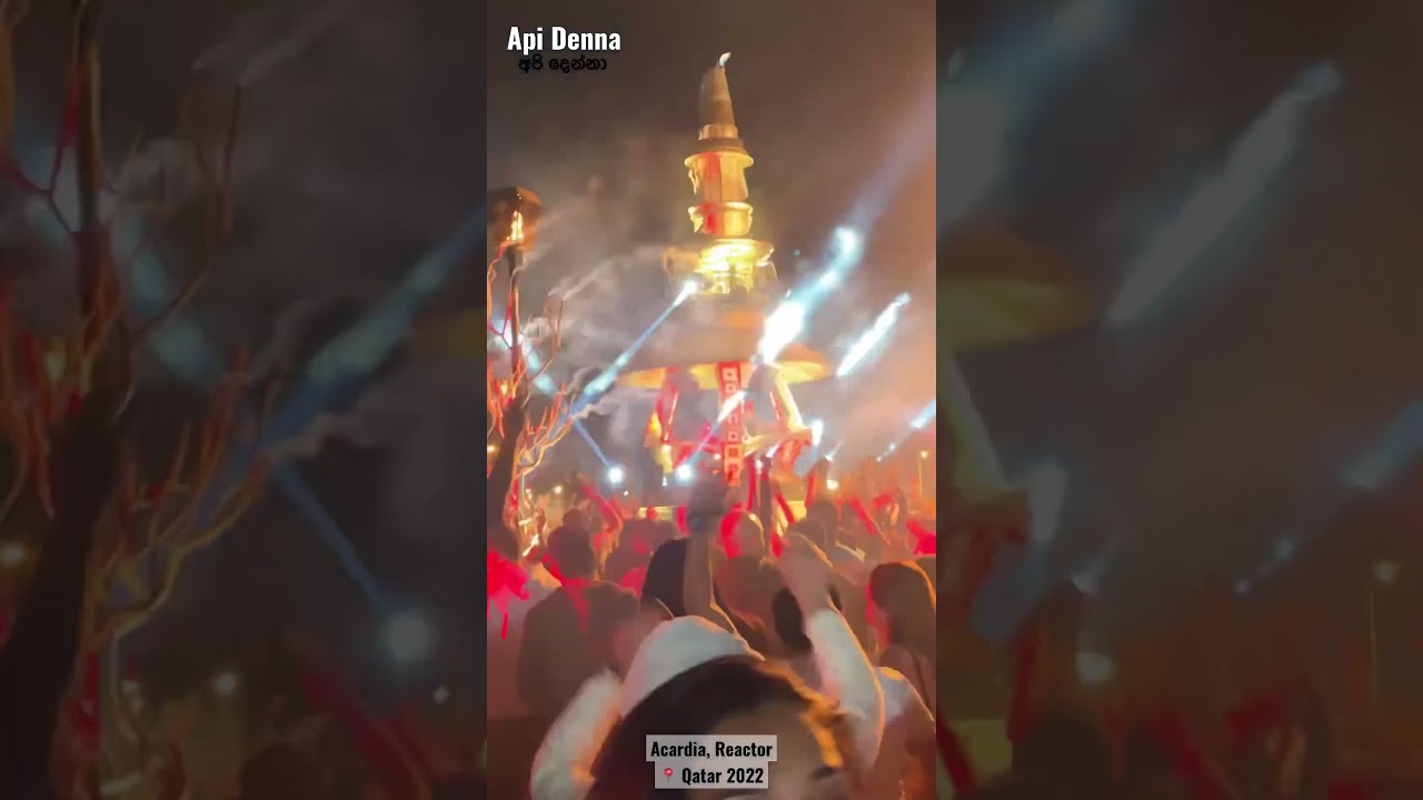 Acardia - Reactor, Qatar 2022 🇶🇦 | Api Denna අපි දෙන්නා | 