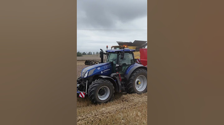 Moisson 2024 💯 New Holland #moisson